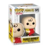 Online Charlie Brown with Kite Funko Pop! Figure Charlie Brown | Funko Pop®