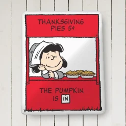 Best Lucy Pumpkin Pie Pillow Lucy Van Pelt | Blankets & Pillows
