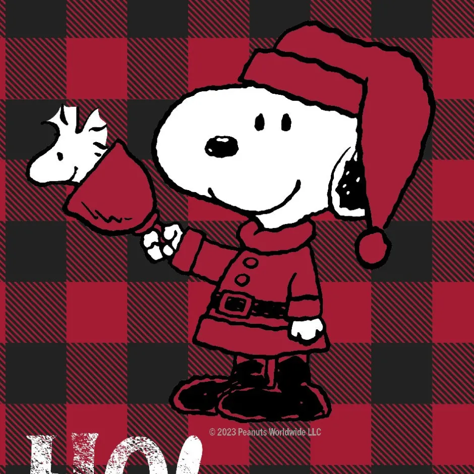 Discount Snoopy & Woodstock Ho Ho Ho Stocking Woodstock | Snoopy
