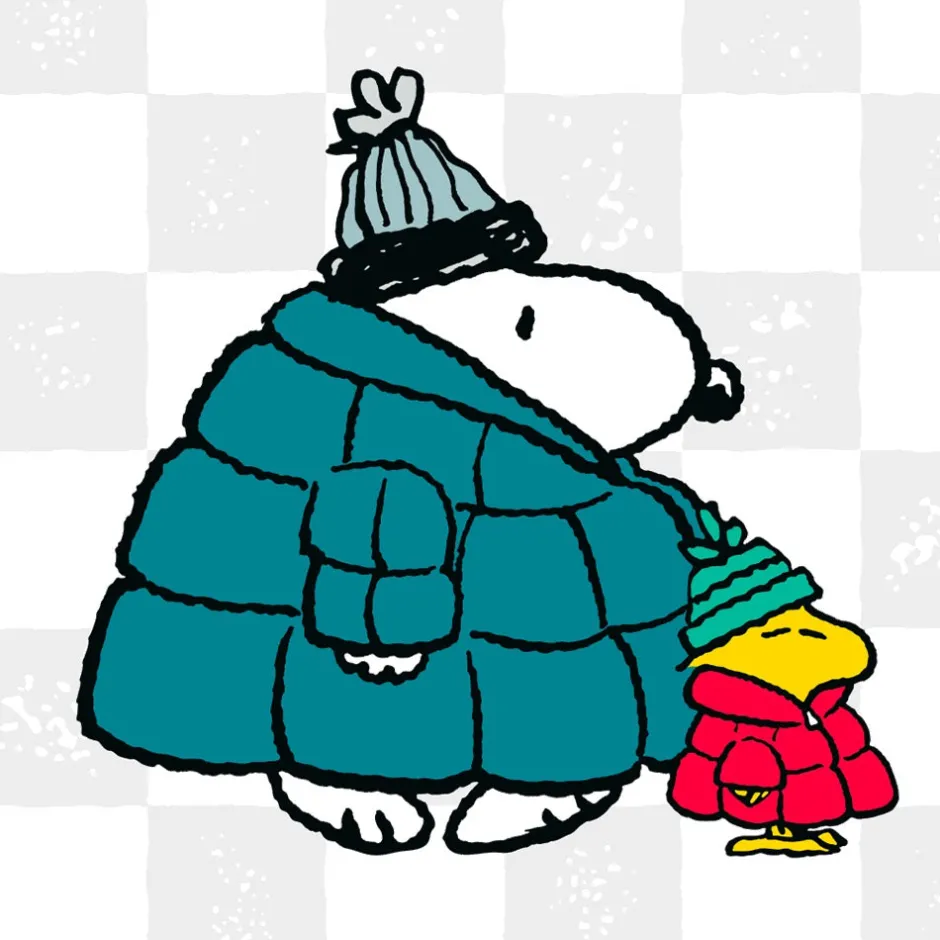 New Snoopy and Woodstock Puffer Mug Woodstock | Snoopy