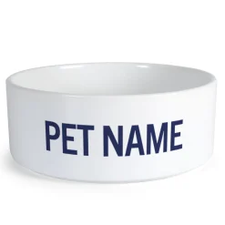 Online Snoopy Top Dog Personalized Small Pet Bowl Snoopy | Pet